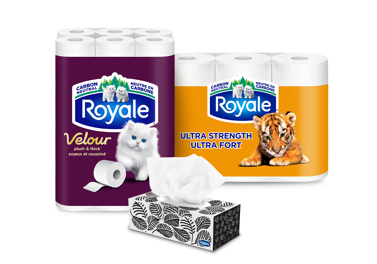 tissue pack